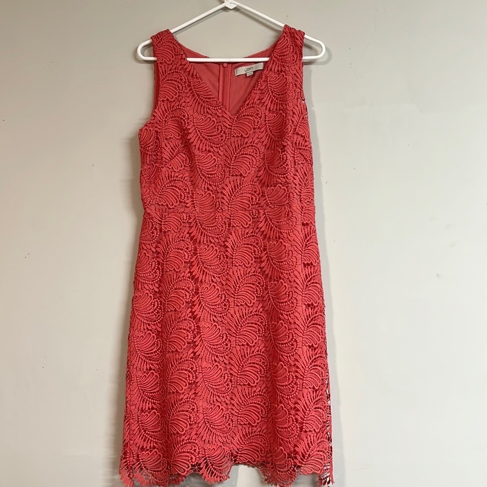 Loft‎ dress